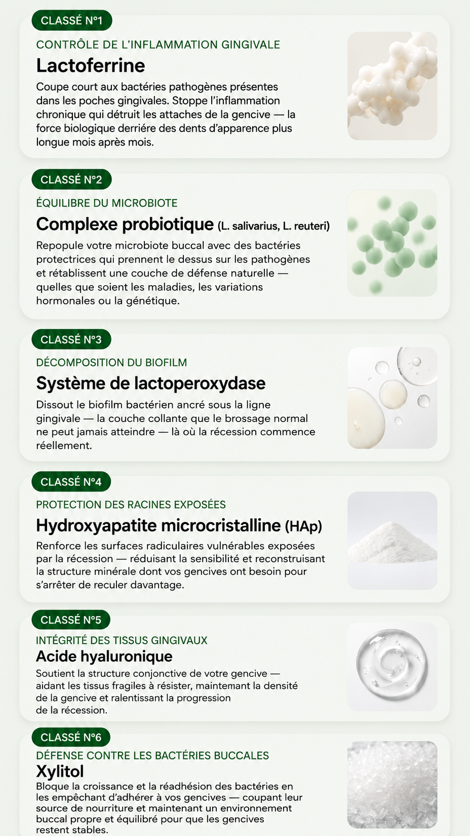 Parodéa ™ complément pour la santé des gencives